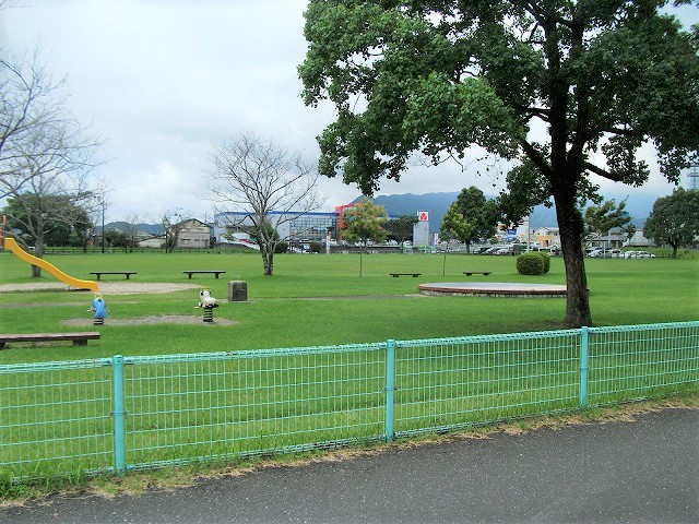 ひまわり公園